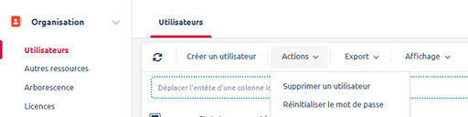 Vue utilisateur - Réinitiliser le mot de passe
